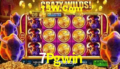 Suporte prioritário e eventos VIP